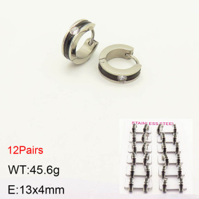 2E4003104amaa-387  Stainless Steel Earrings