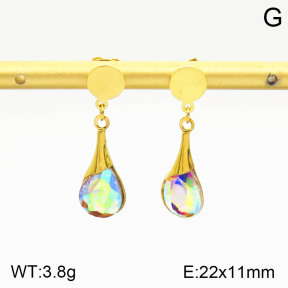 2E4003106baka-698  Stainless Steel Earrings