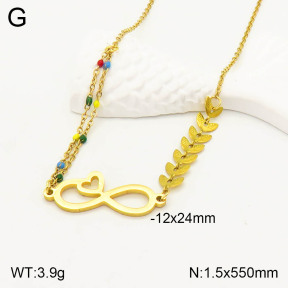 2N3001492aakl-698  Stainless Steel Necklace