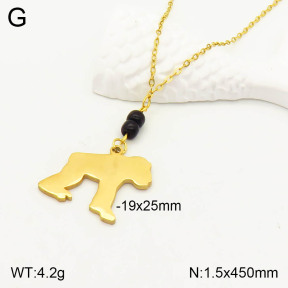 2N4002653baka-698  Stainless Steel Necklace