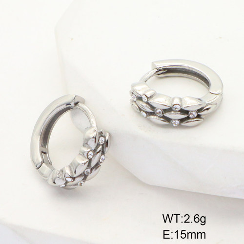 6E4003951bhia-106D  Stainless Steel Earrings  Czech Stones,Handmade Polished