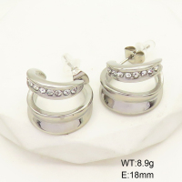 GEE001665vhha-066  Stainless Steel Earrings  Czech Stones,Handmade Polished