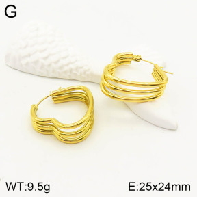 2E2003220vbll-355  Stainless Steel Earrings