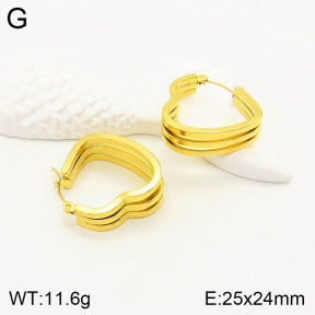 2E2003221vbll-355  Stainless Steel Earrings