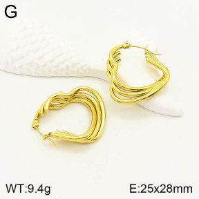 2E2003222vbll-355  Stainless Steel Earrings