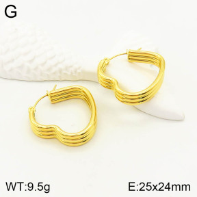 2E2003223vbll-355  Stainless Steel Earrings