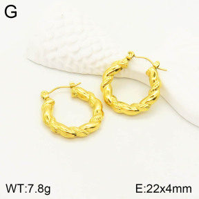 2E2003226vbll-355  Stainless Steel Earrings