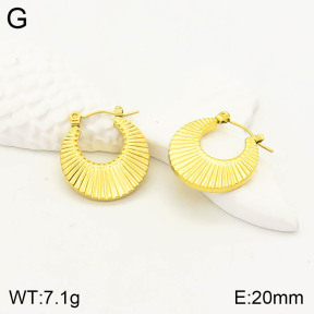 2E2003230vbll-355  Stainless Steel Earrings