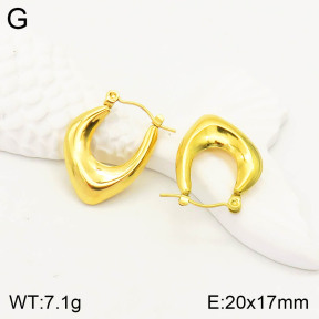 2E2003231vbll-355  Stainless Steel Earrings