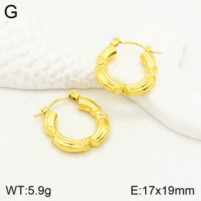 2E2003235vbll-355  Stainless Steel Earrings