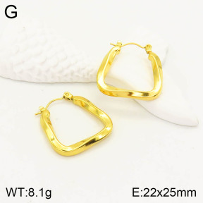 2E2003236vbll-355  Stainless Steel Earrings