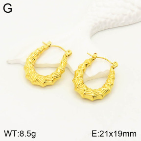 2E2003240vbll-355  Stainless Steel Earrings