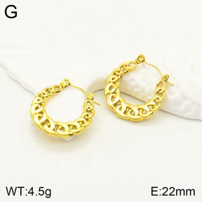 2E2003242vbll-355  Stainless Steel Earrings