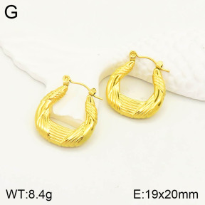 2E2003243vbll-355  Stainless Steel Earrings