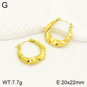 2E2003245vbll-355  Stainless Steel Earrings