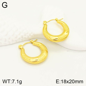 2E2003246vbll-355  Stainless Steel Earrings