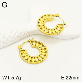 2E2003249vbll-355  Stainless Steel Earrings