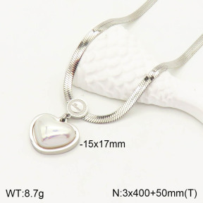 2N3001496vbnl-746  Stainless Steel Necklace