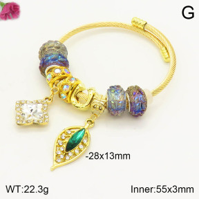 F2BA40655bhia-J39  Fashion Bangle