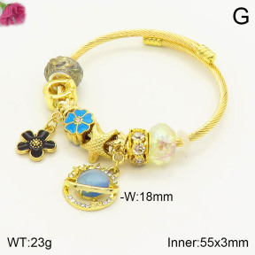 F2BA40666bhia-J39  Fashion Bangle