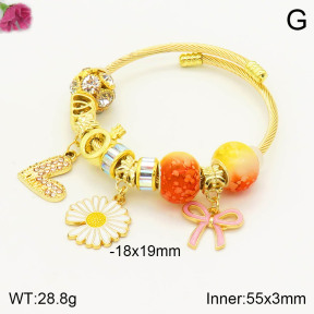 F2BA40673bhia-J39  Fashion Bangle