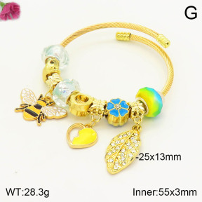 F2BA40677bhia-J39  Fashion Bangle