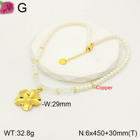F2N300132bhia-J39  Fashion Copper Necklace