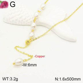 F2N300133bhia-J39  Fashion Copper Necklace