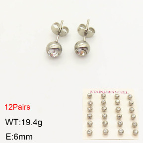 2E4003109vhha-465  Stainless Steel Earrings
