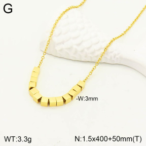 2N2003811vbpb-762  Stainless Steel Necklace