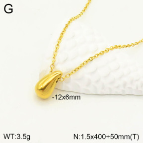 2N2003855ablb-749  Stainless Steel Necklace