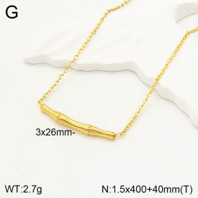 2N2003856ablb-749  Stainless Steel Necklace