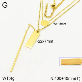2N2003869bbov-749  Stainless Steel Necklace