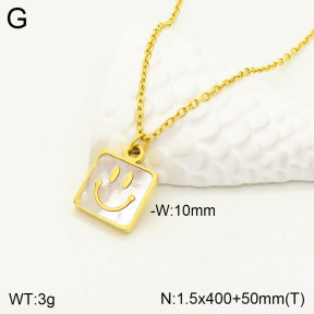 2N3001501vbpb-762  Stainless Steel Necklace