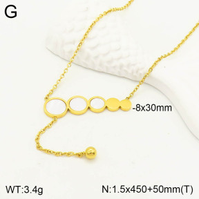 2N3001503vbpb-762  Stainless Steel Necklace