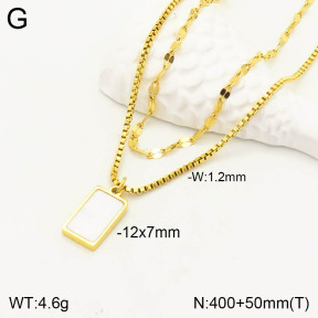 2N3001504vbpb-762  Stainless Steel Necklace