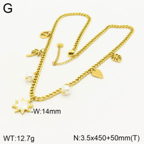 2N3001511ahjb-662  Stainless Steel Necklace