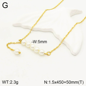 2N3001520ablb-749  Stainless Steel Necklace