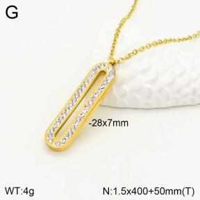 2N4002695vbnb-749  Stainless Steel Necklace