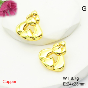 F6E200518ablb-L017  Fashion Copper Earrings