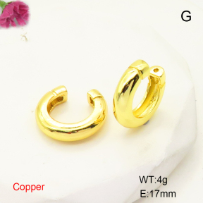 F6E200608ablb-L017  Fashion Copper Earrings