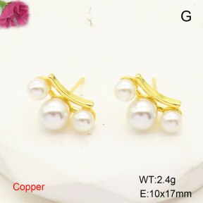 F6E301752ablb-L017  Fashion Copper Earrings