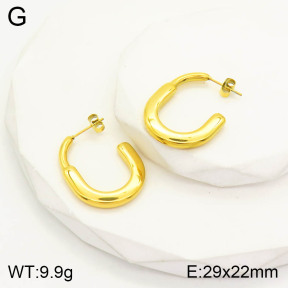 2E2003256abol-434  Stainless Steel Earrings