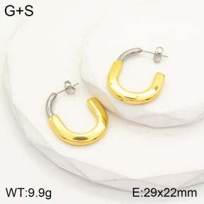 2E2003257abol-434  Stainless Steel Earrings