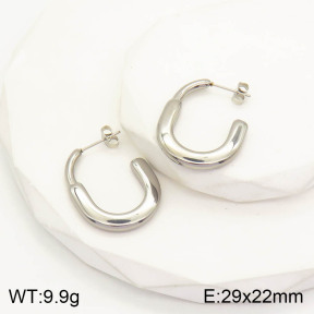 2E2003258vbnl-434  Stainless Steel Earrings