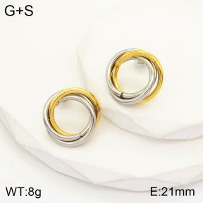 2E2003261ablb-434  Stainless Steel Earrings