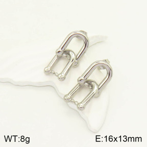 2E2003264vbmb-434  Stainless Steel Earrings