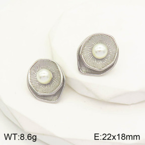 2E3001986vbnl-434  Stainless Steel Earrings