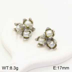 2E3001990vbnl-434  Stainless Steel Earrings