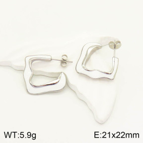 2E3002003vbnl-434  Stainless Steel Earrings